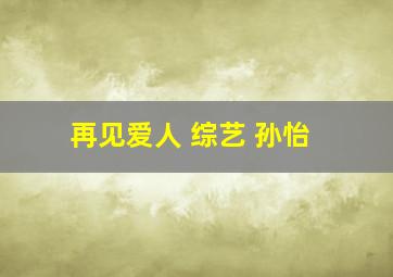 再见爱人 综艺 孙怡